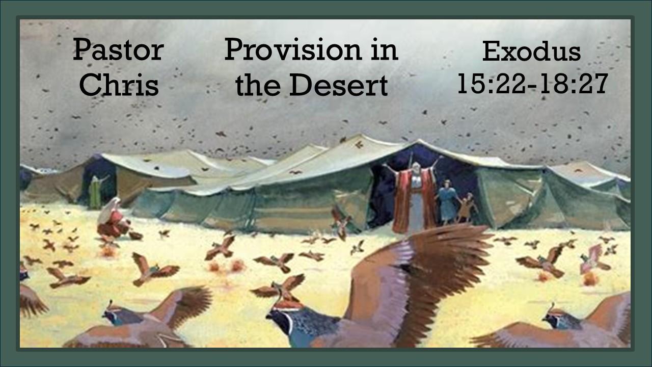 Provision in the Desert